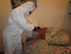 Как избавиться от домашних клопов в квартире – подскажут в disinfection-eko.ru