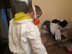 Уничтожение клопов недорого – в disinfection-eko.ru
