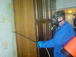 Обработка квартиры от клопов – недорого в disinfection-eko.ru